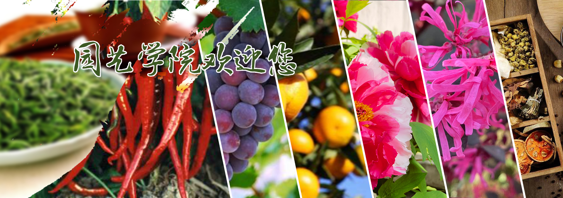 </span>
  	
    <span class=