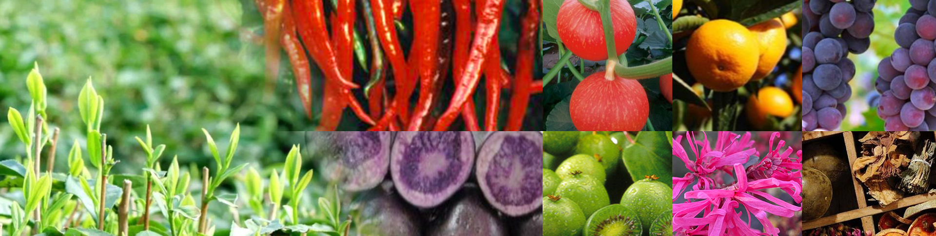 </span>
  	
    <span class=